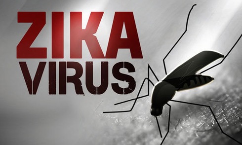 Việt Nam phát hiện 2 ca nhiễm virus Zika đầu tiên